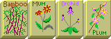 Flower images